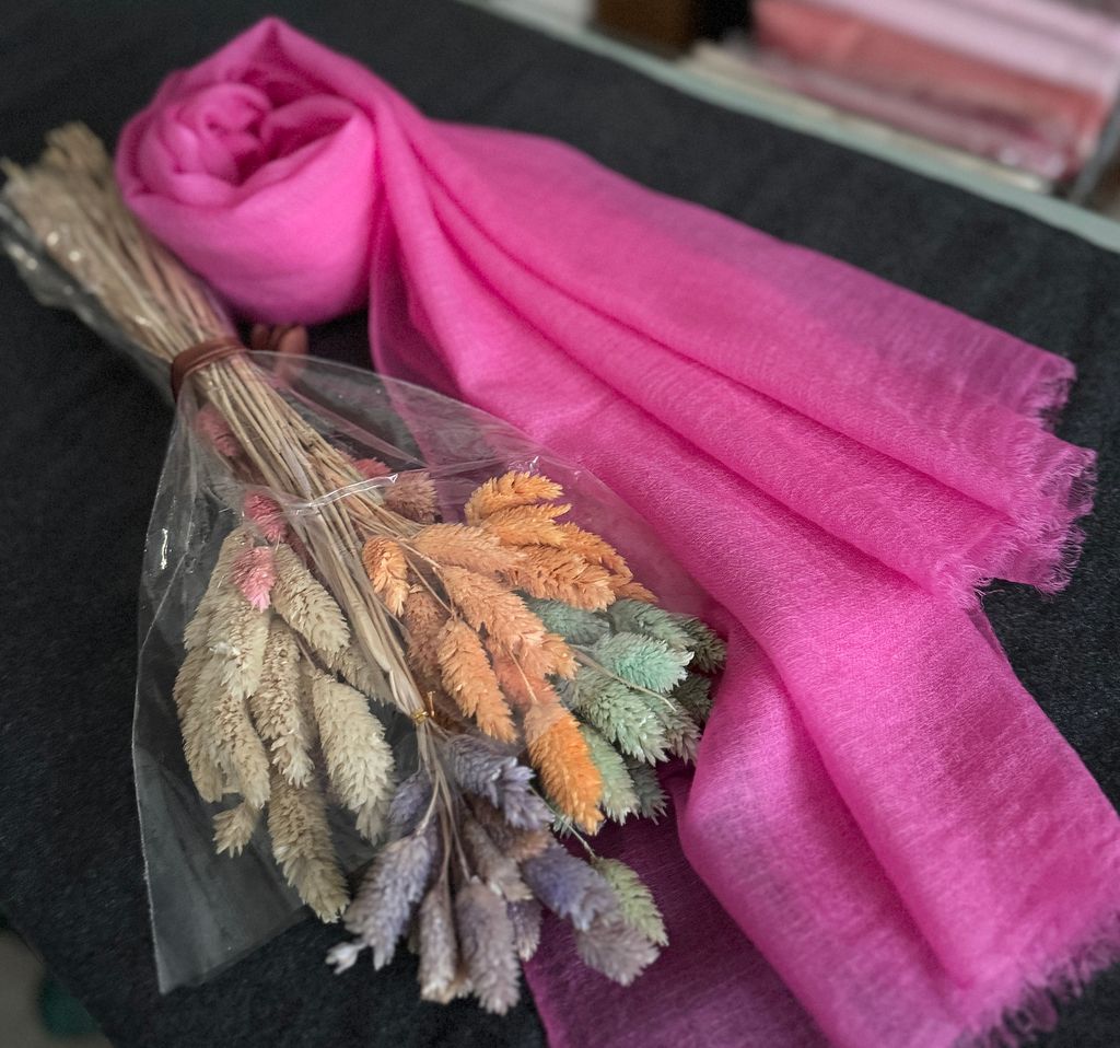 image_E9DD2BEC-5181-4829-BDFF-90950F90A41A_1775991396