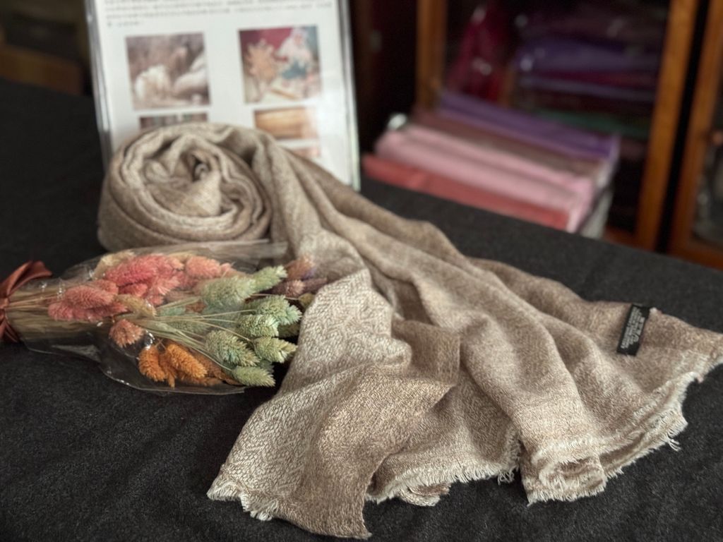 image_7CF18A56-BB29-4B39-AD40-88A3C44F1363_1776760246