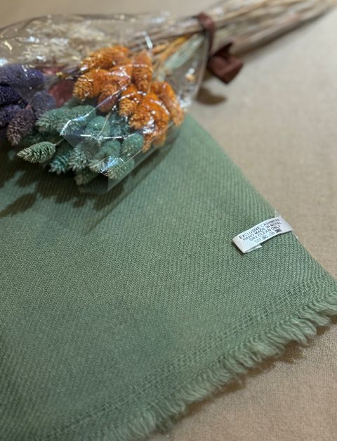 IMG_8349-1724576988127