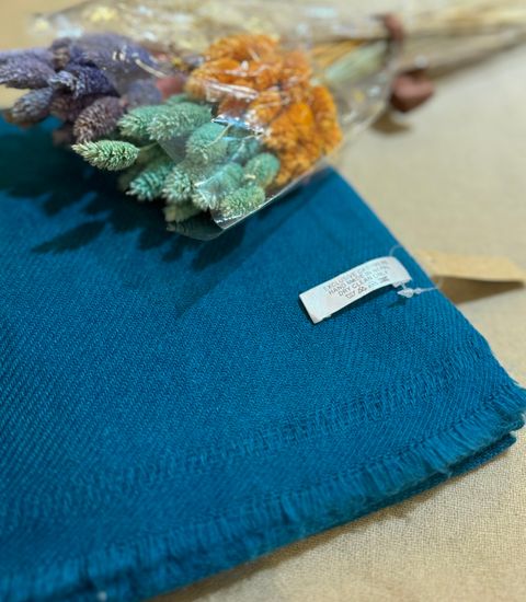 IMG_8338-1724577439660