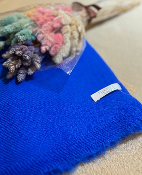 IMG_8329-1724577627698