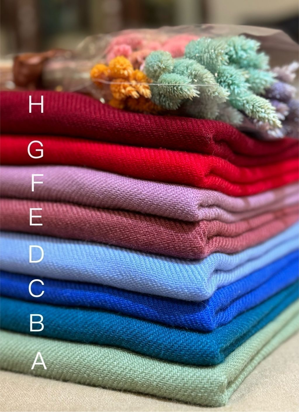 IMG_8204-1724576987244