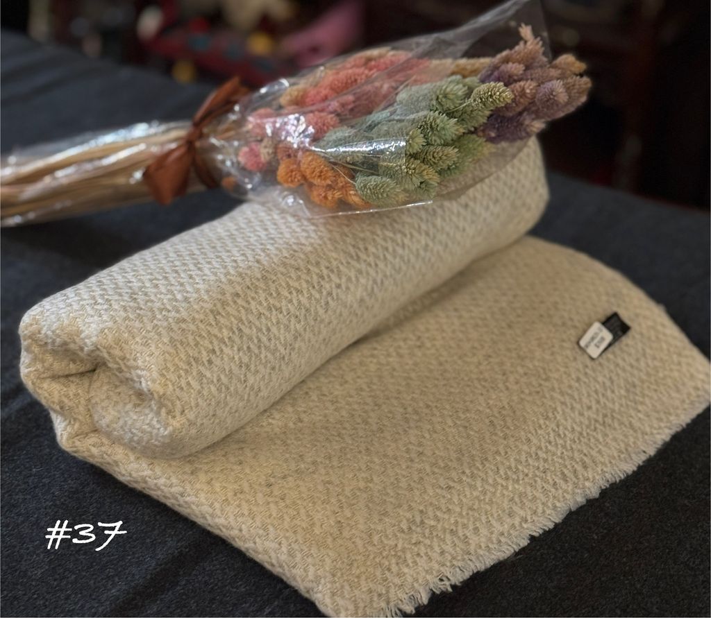 image_4E7C7CDF-FEC6-44C9-8581-4A7888B67C79_1756459034