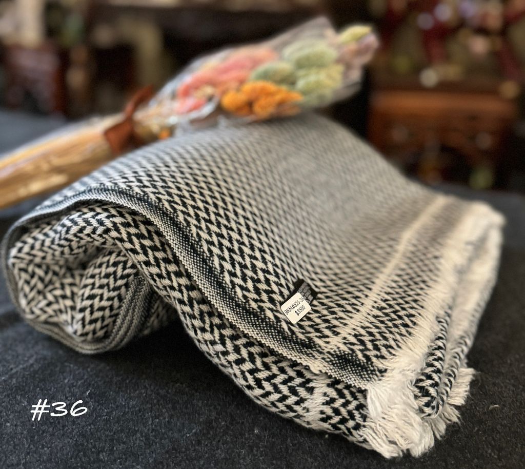 image_4D832FBF-BD0B-4C3B-AEC8-0B7EBD918659_1756459034