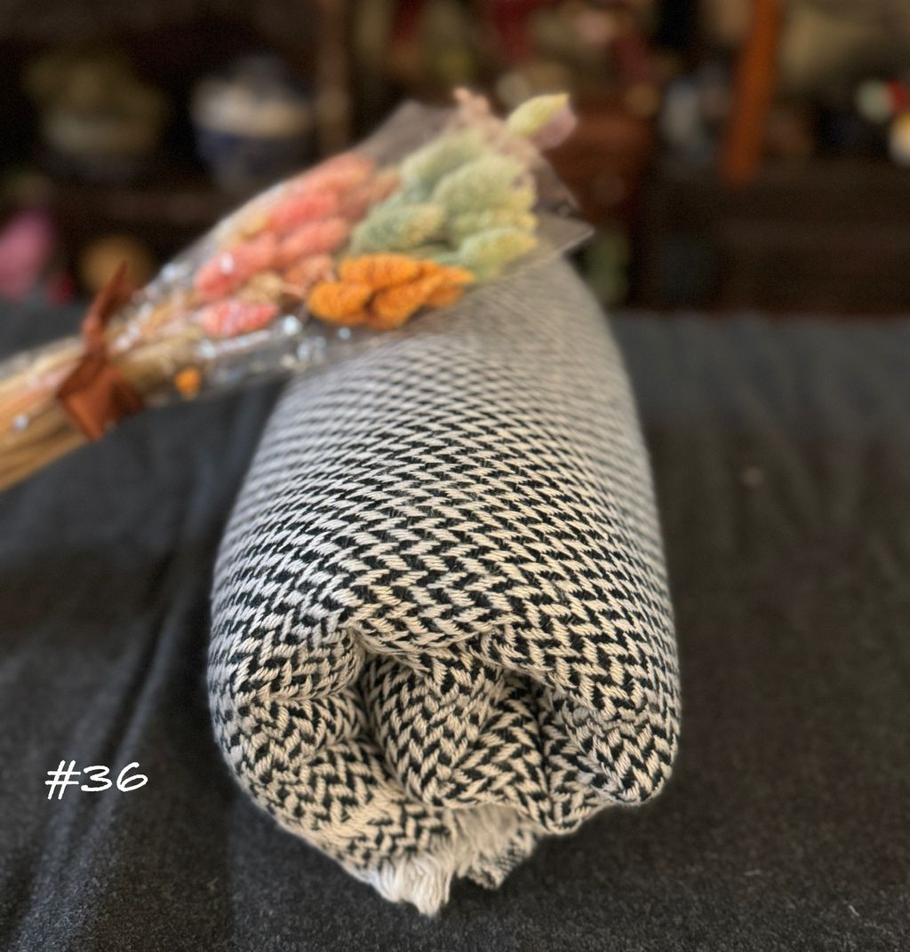 image_95578087-45BA-4C44-AA0C-E5EDCFD531F8_1756459236