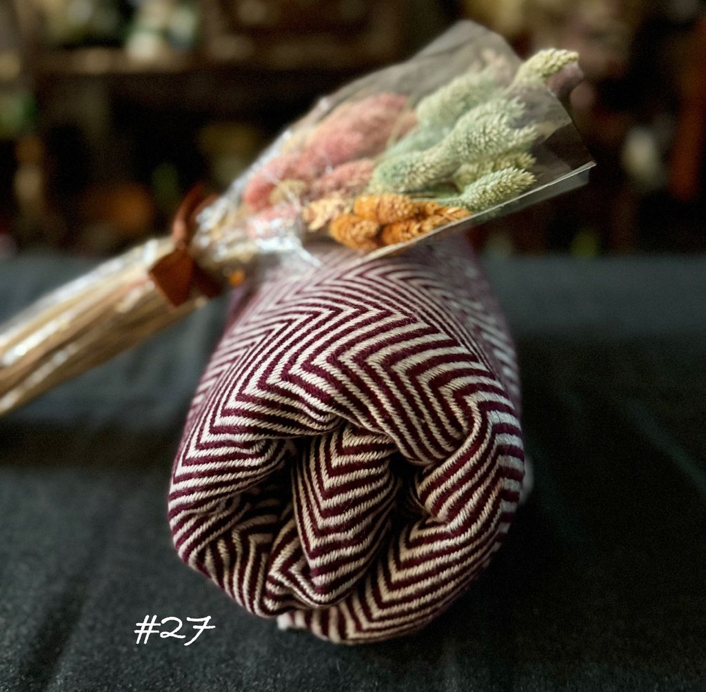 image_8017F6B1-808F-452A-9783-EEFC480664B6_1756808246