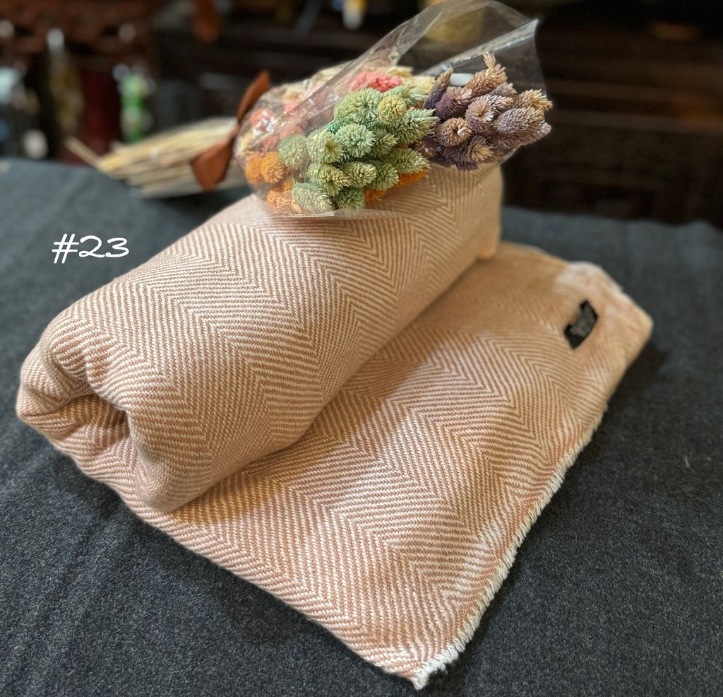 image_10B35683-EADC-46B2-AB3E-CBBCC8A0DFA6_1756808594