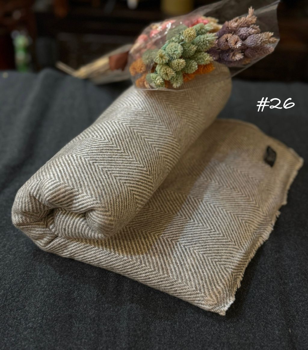 image_C35B02AA-EC71-4772-B9E6-EB101F5C7377_1756808594