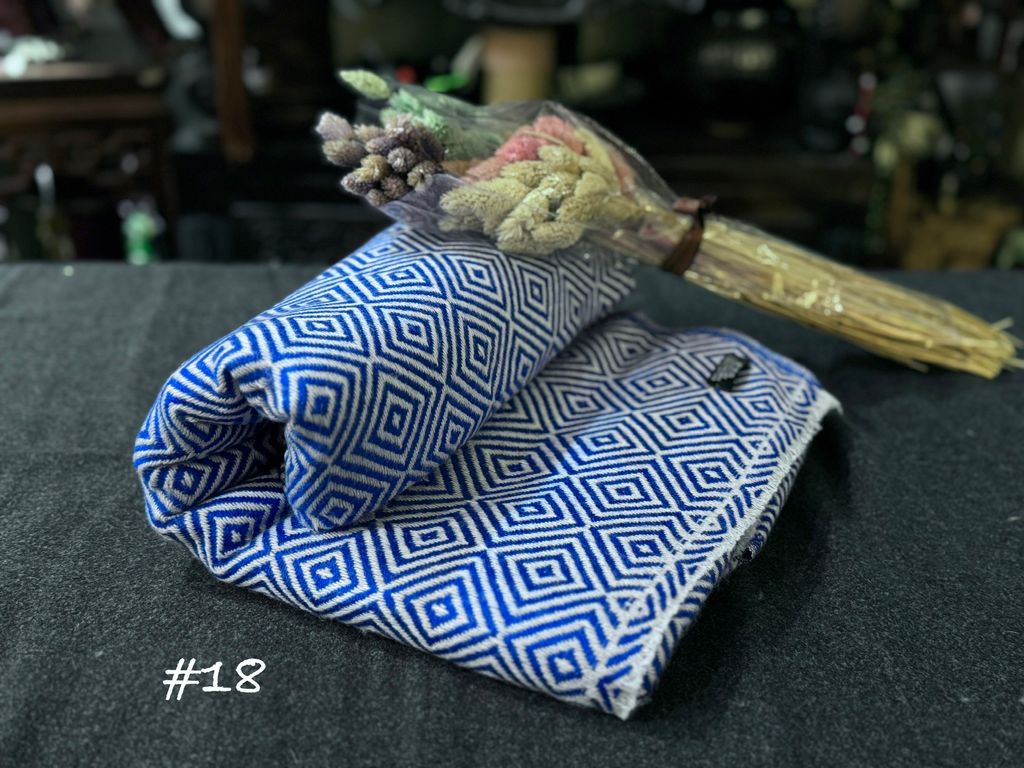 image_F68C11AC-926C-4263-BF2C-A3DD2A1336F2_1756809005