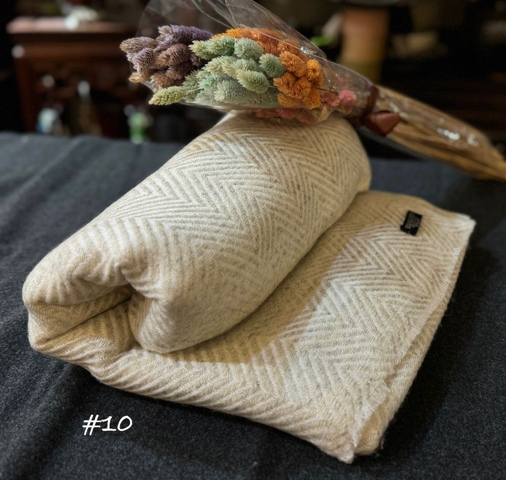 image_7E4559DC-8A49-431A-B518-1FE419867D67_1756809367