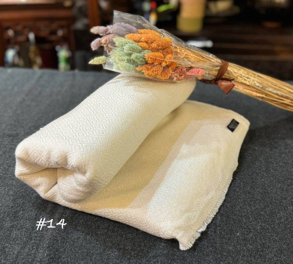 image_38558343-1955-4986-BD04-AA04D3976B6B_1756809367