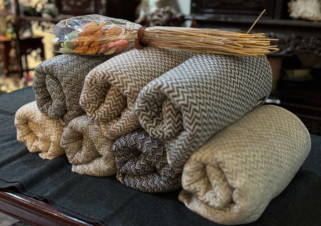 image_93650245-CEAD-4796-A8E1-54A6D818CD7E_1756809740