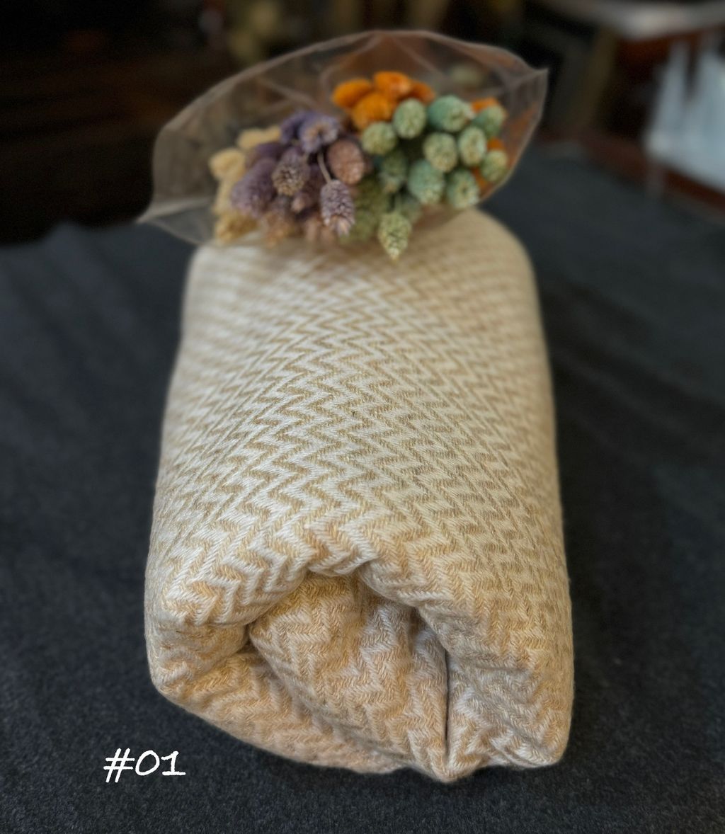 image_729815BC-6ADD-468D-8AFF-7D124964186E_1756809829