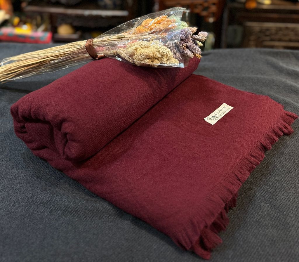 image_C03FAC5F-A77A-4F5E-86BF-280FCCB00639_1763039069