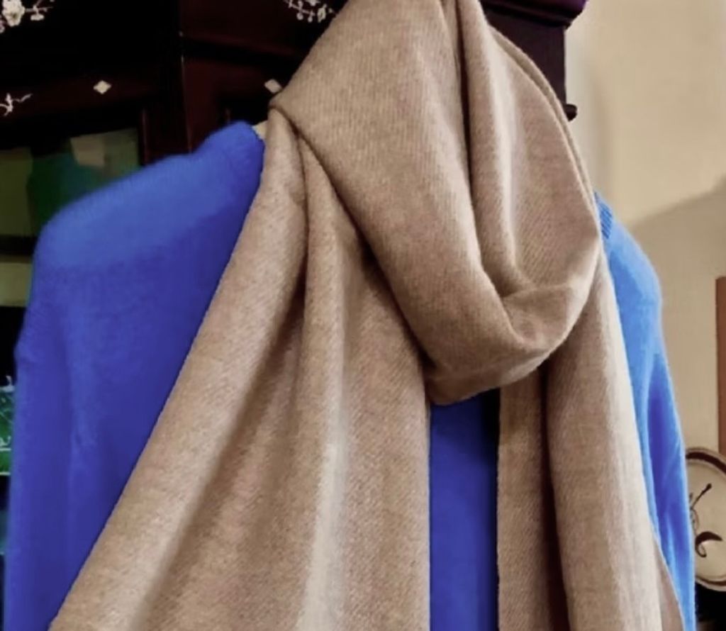 image_C42B39E3-61DD-46AA-A6DE-A7C4165EF1C9_1763996558