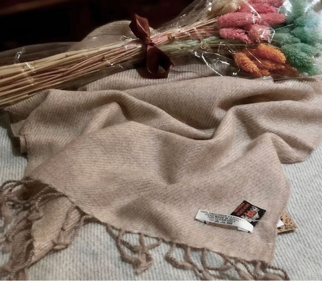 image_917580B3-9BF1-4438-98AB-E5369567DC2A_1764086205