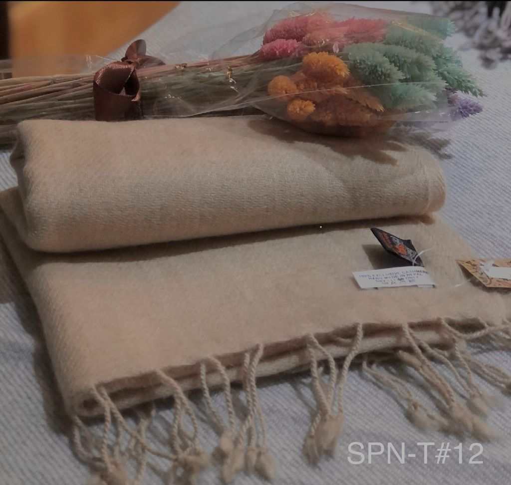 image_C3D56DB4-6DFF-403B-96F3-799C83A961EB_1764087440