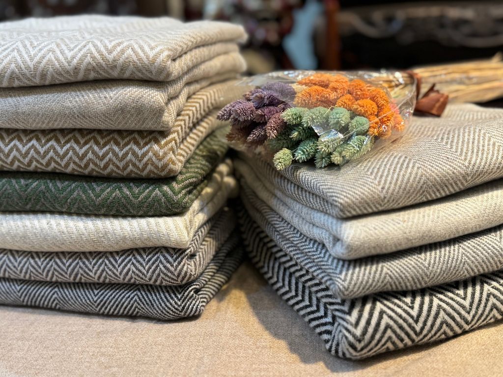 IMG_8298-1740211142807