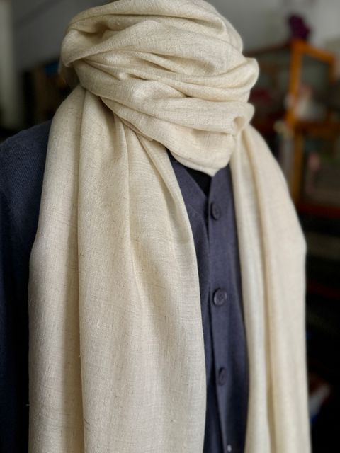 image_D507B8F8-8253-488C-9D73-22B9DF8F8257_1767953698