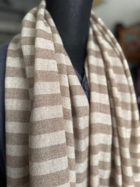 image_4C8A4CF7-3149-43A6-A05C-8D92DAE738CB_1767953995