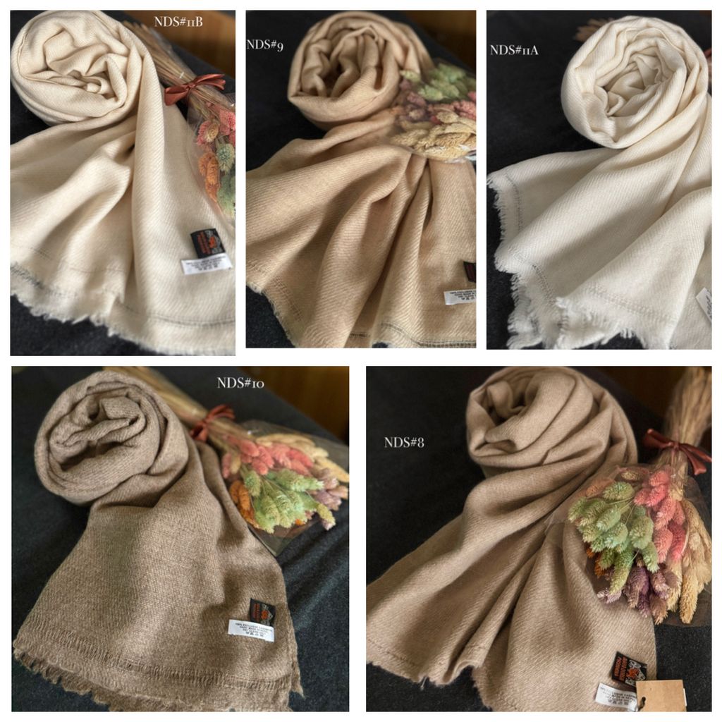 image_8A8135D0-823C-43FE-8CF0-D390116CF367_1769313633