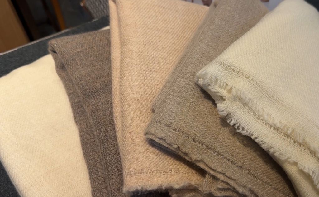 image_55FA30AA-69FA-4589-B470-91A6105F80AA_1769313868