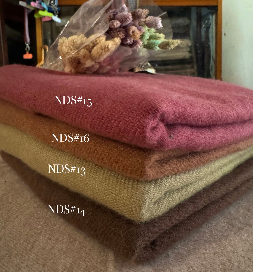 image_BB7F0E1A-C14B-453B-9404-F95DEFCED3F3_1769475495