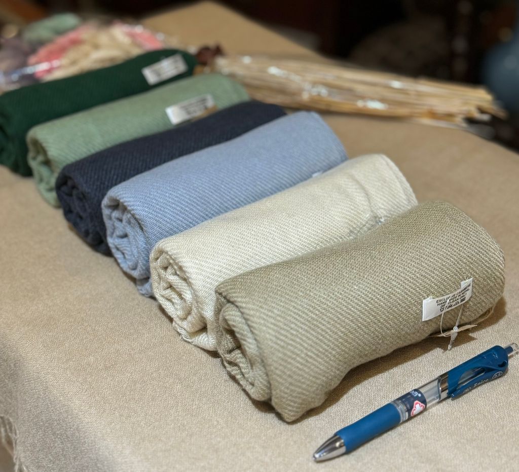 IMG_8161-1724572955256