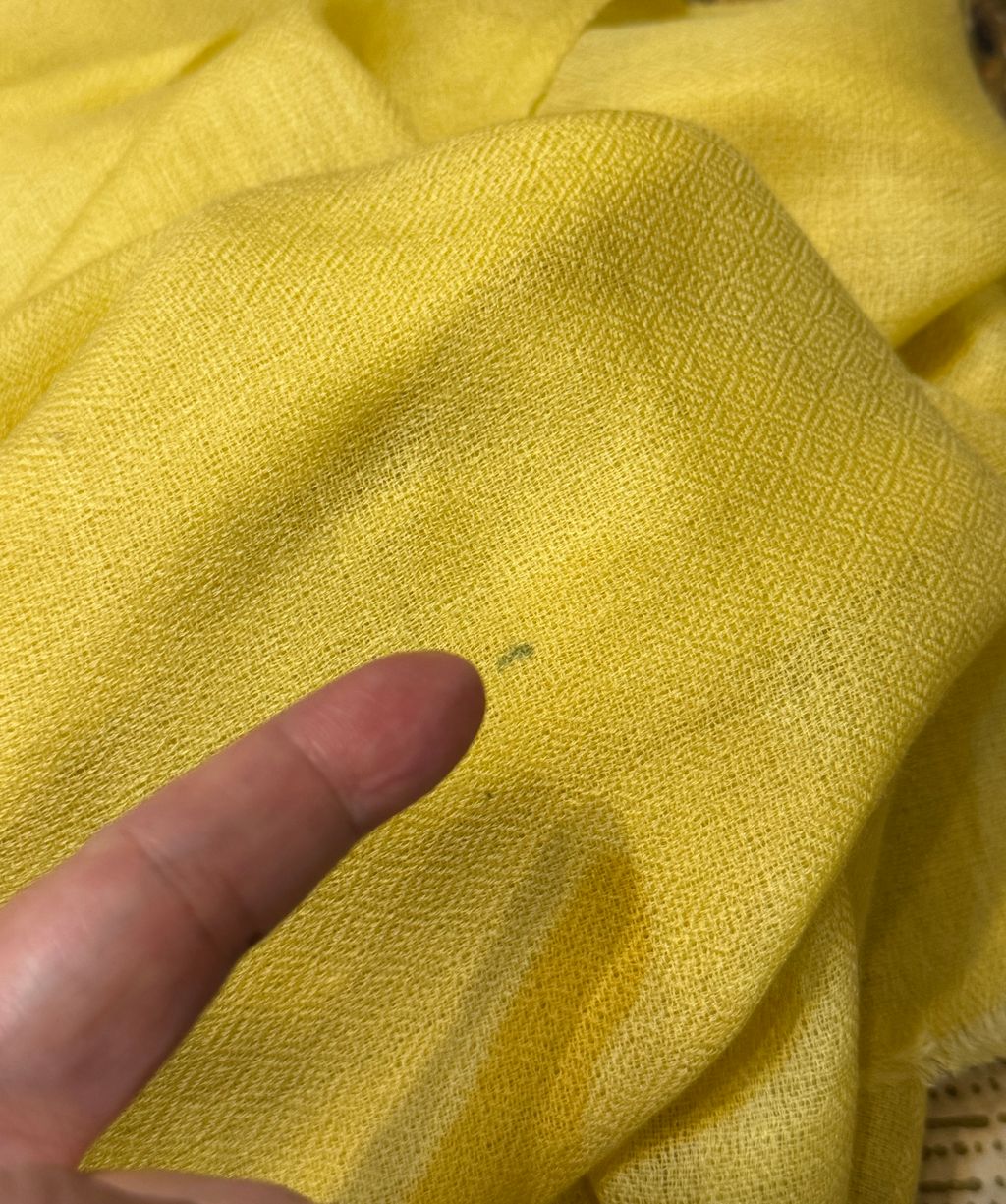 image_565A6545-B735-419A-8104-80BF319CE0E9_1769679974