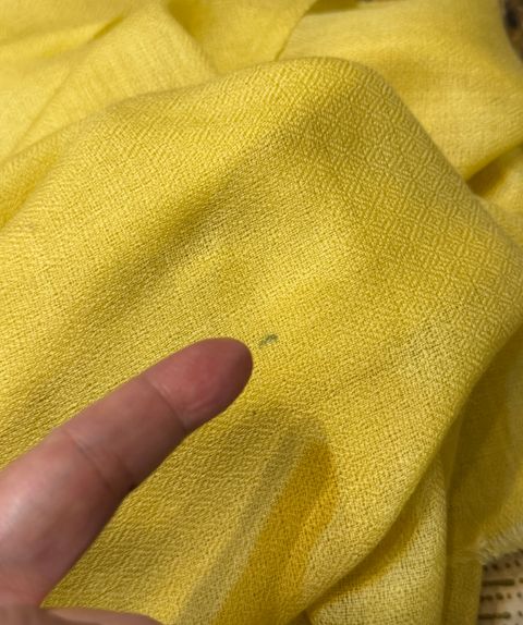 image_565A6545-B735-419A-8104-80BF319CE0E9_1769679974