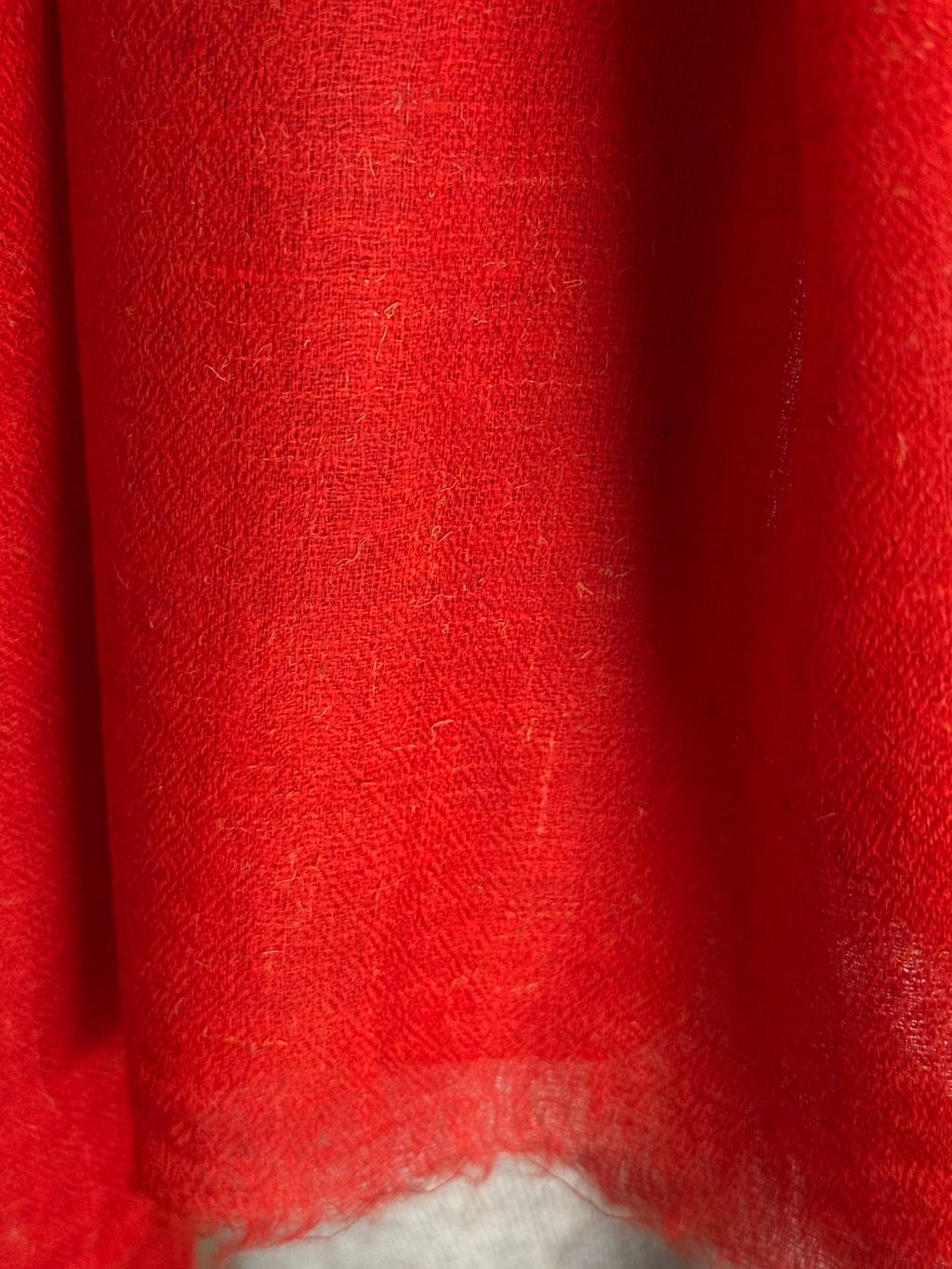 image_8F605237-FD85-4087-A33A-903404F21BF9_1769781995