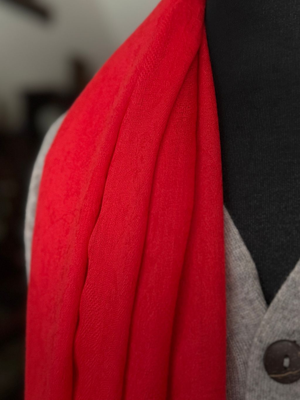 image_15315292-34BB-43F3-9BD5-5835B5814758_1770870845