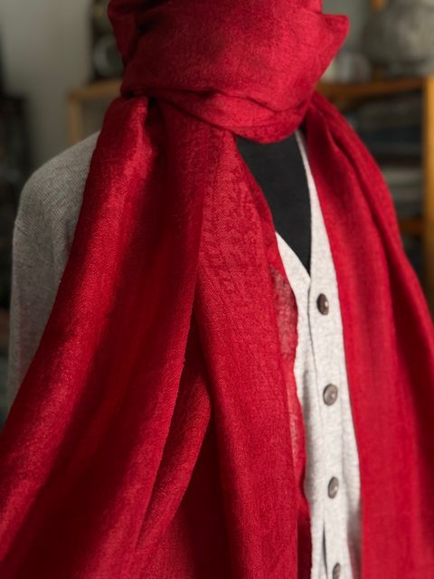 image_981CE99B-B378-4B93-BB1F-D7D12A8E70ED_1770871788