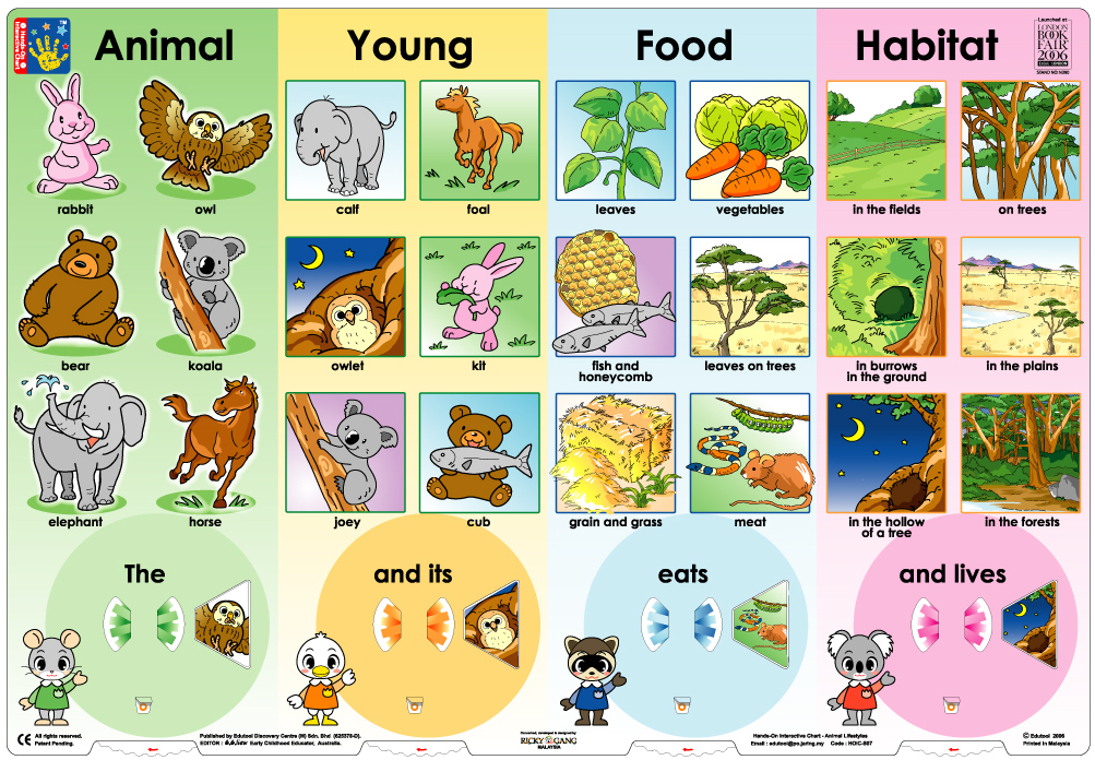 HOIC-Animal lifestyles.jpg