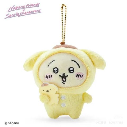 460554516_1909734886200158_4244425174449508945_n