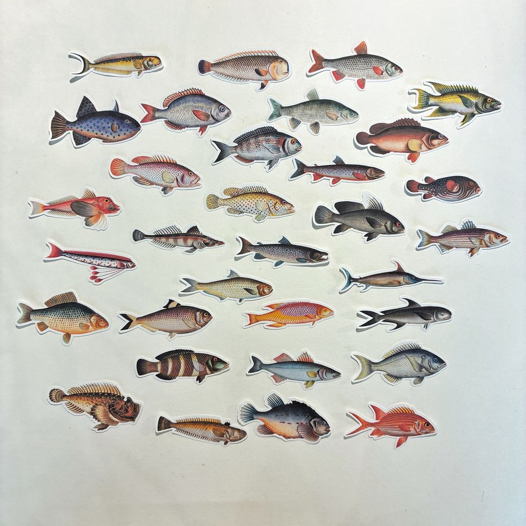 image_E0F18B31-7999-4BA1-BC67-5B813E642323_1774501272