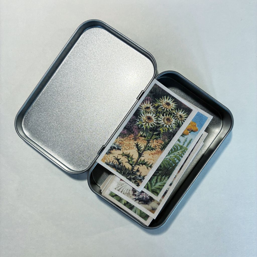 image_67C0452F-C9DA-4015-B0CB-592A1B2AD61F_1769767520