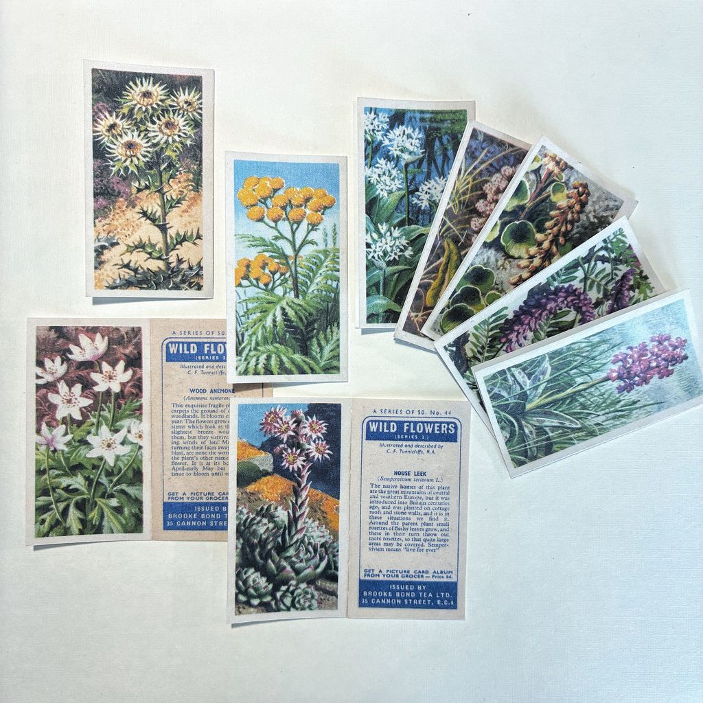 image_6B05C7B8-CE14-46EB-9610-A972C31A11CC_1769767520