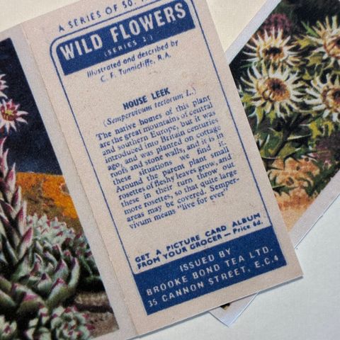 image_AF80AAD6-FFEB-4599-873E-21D22267A892_1769767520