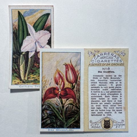 image_18FC64FC-2683-4C1F-B201-EE25DEE3B868_1769767827