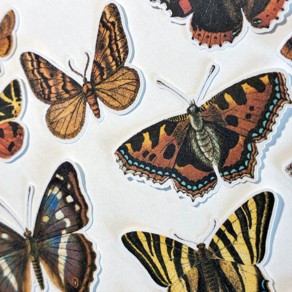 image_CDB01B22-6DA0-4469-A473-ADB5BBE18B61_1769768043