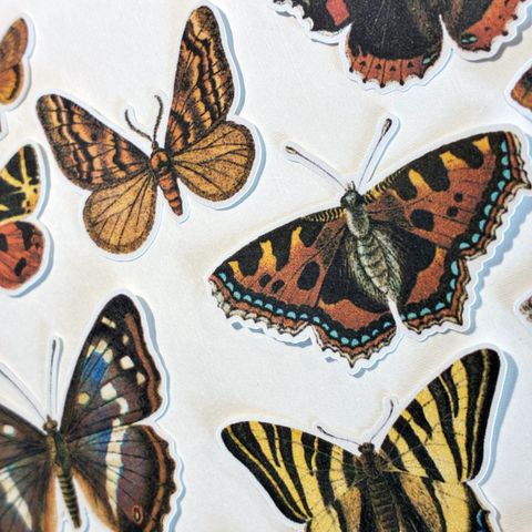 image_CDB01B22-6DA0-4469-A473-ADB5BBE18B61_1769768043