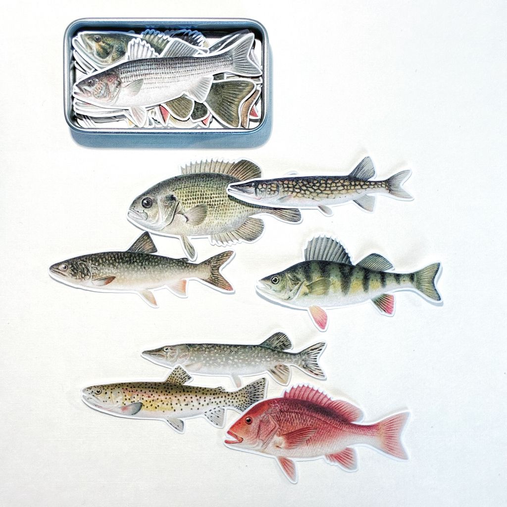 image_65088347-BAD5-40B4-81F6-731FB27903E9_1769768123