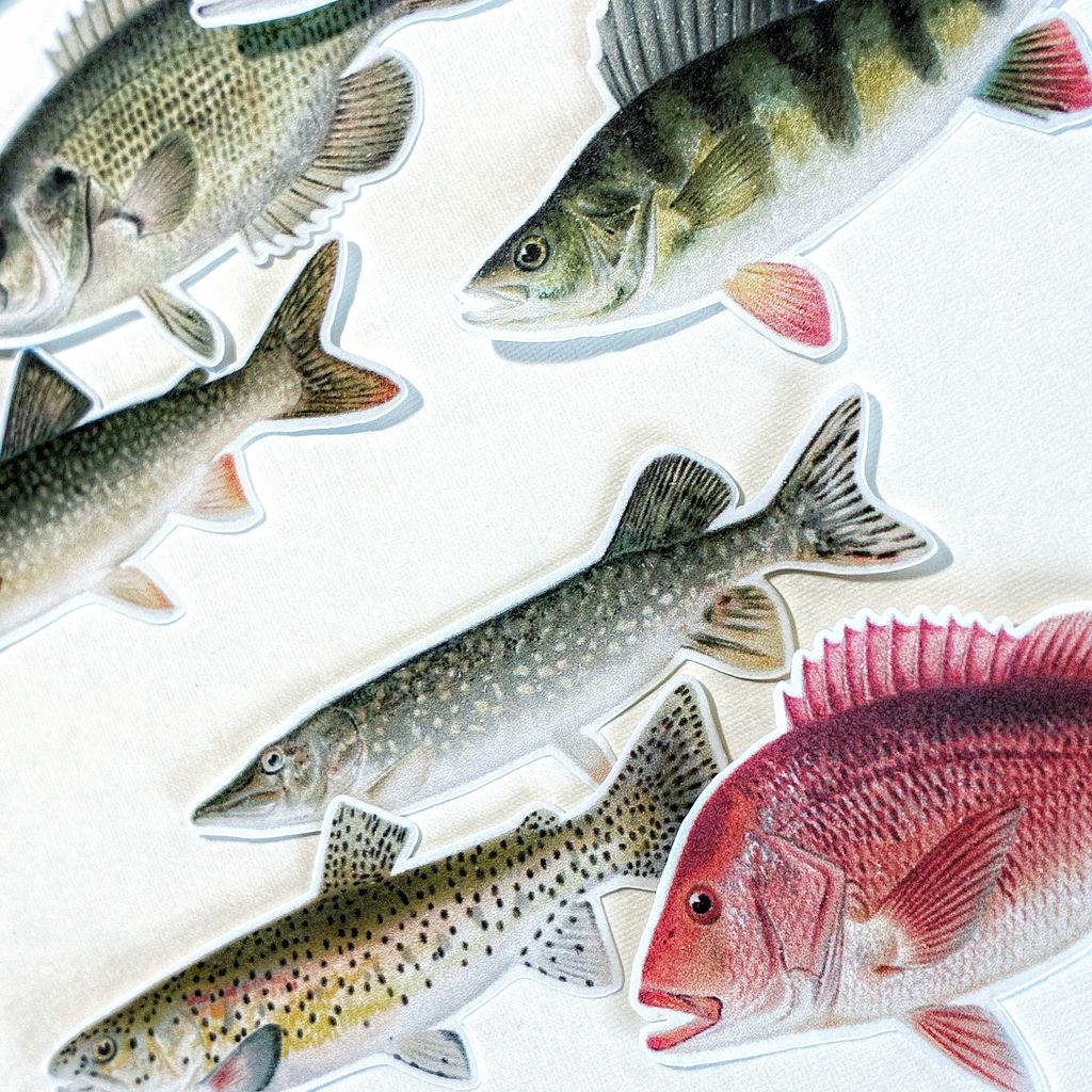 image_1773EE14-C5AF-4EBD-961D-C32848143773_1769768123