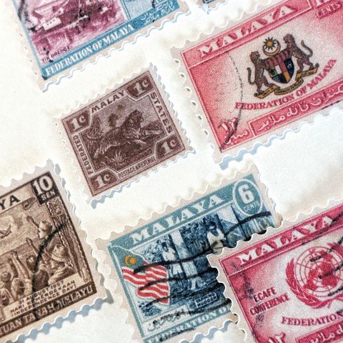 image_E0A96AFE-121E-4709-9703-D03ED05D9750_1769768340