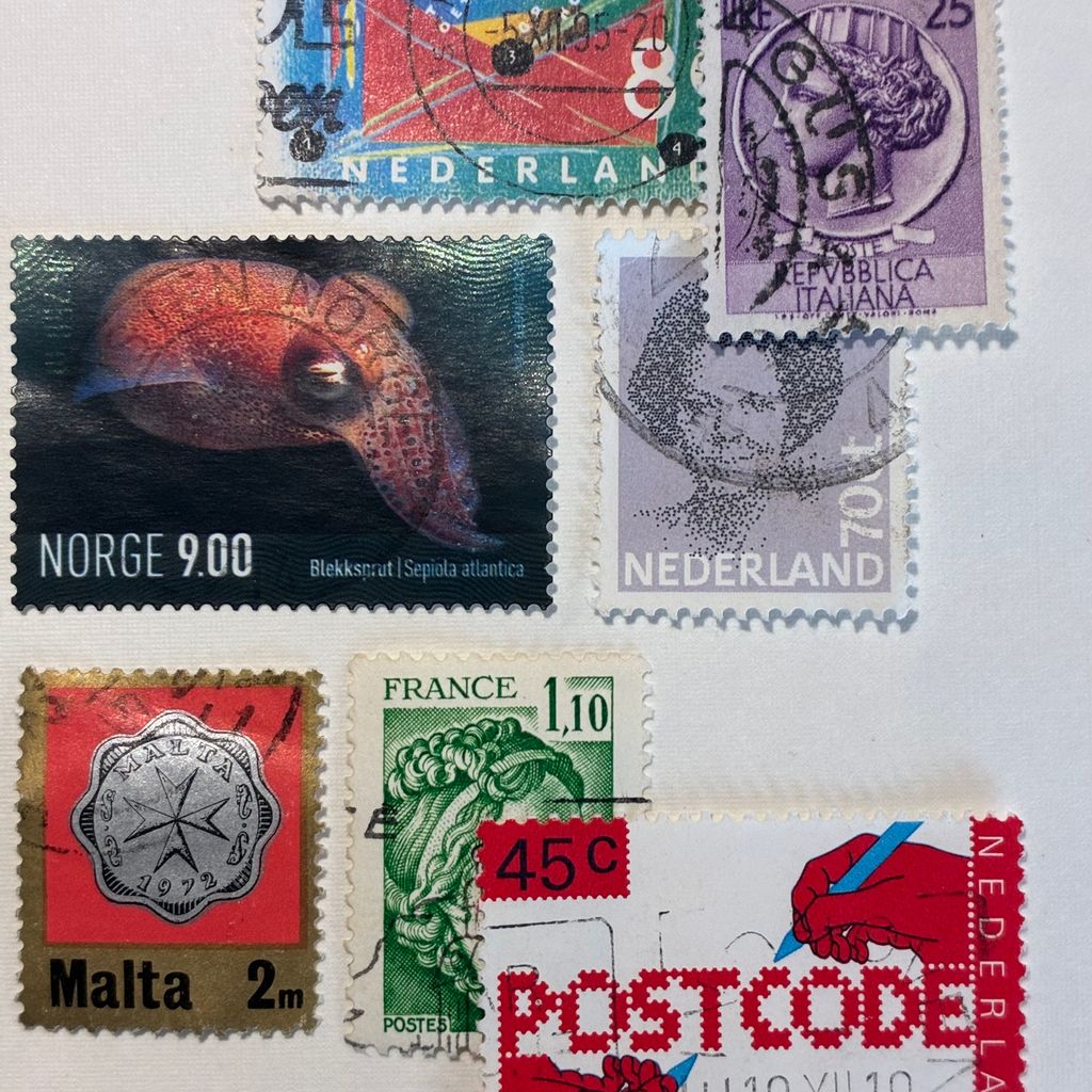 image_A4015739-E171-48DC-9464-A66B716469CB_1769769196