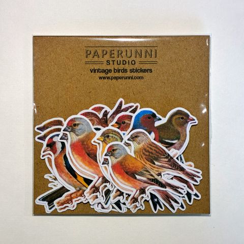 image_91115D13-A228-49F8-A8BC-B27654B61A7D_1772197716