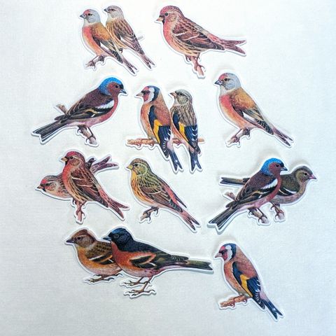 image_967310DB-7E11-4D74-8F81-2CBBF838ED12_1772197716