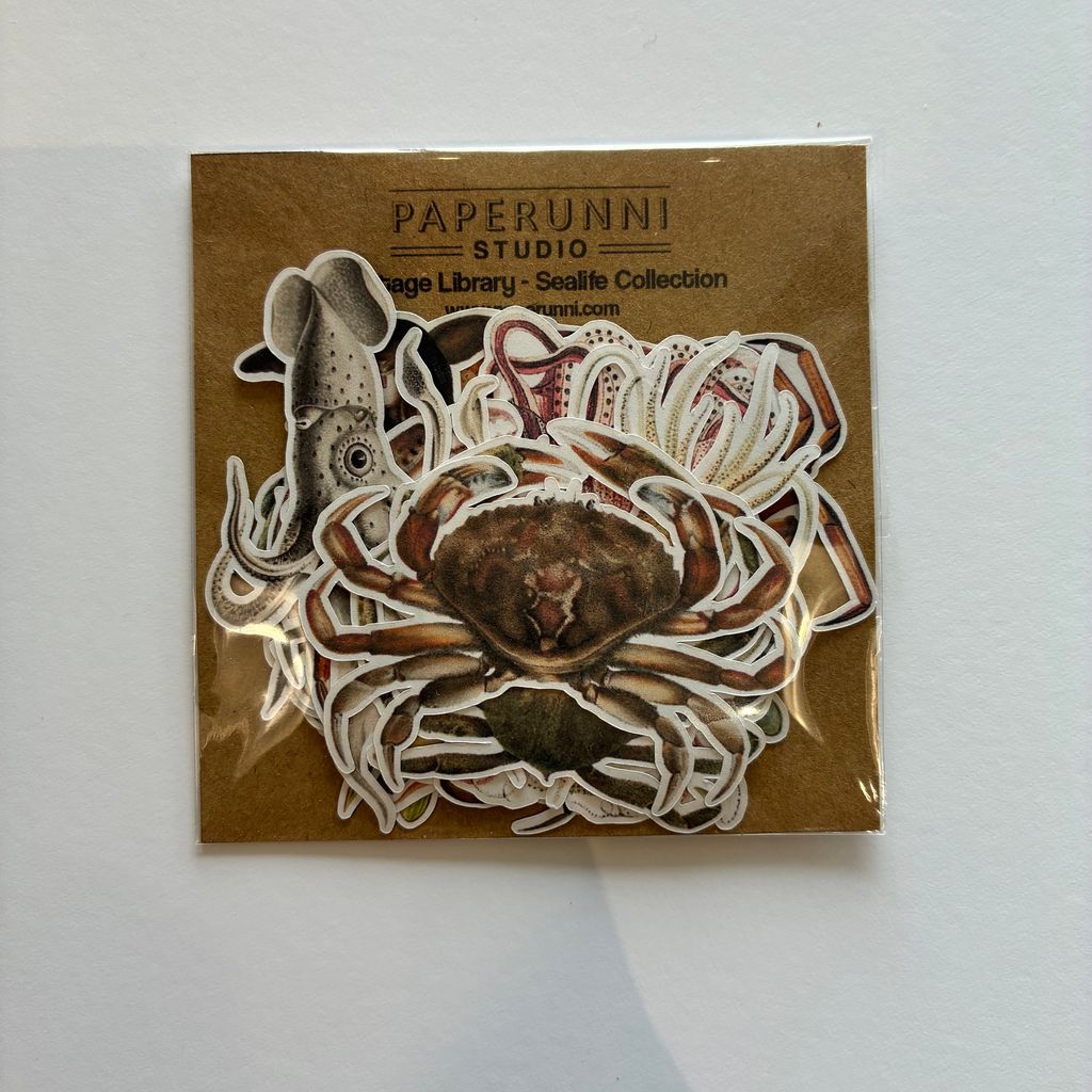 image_002E002E-028A-4570-A25E-0E4153FC25EA_1772353534