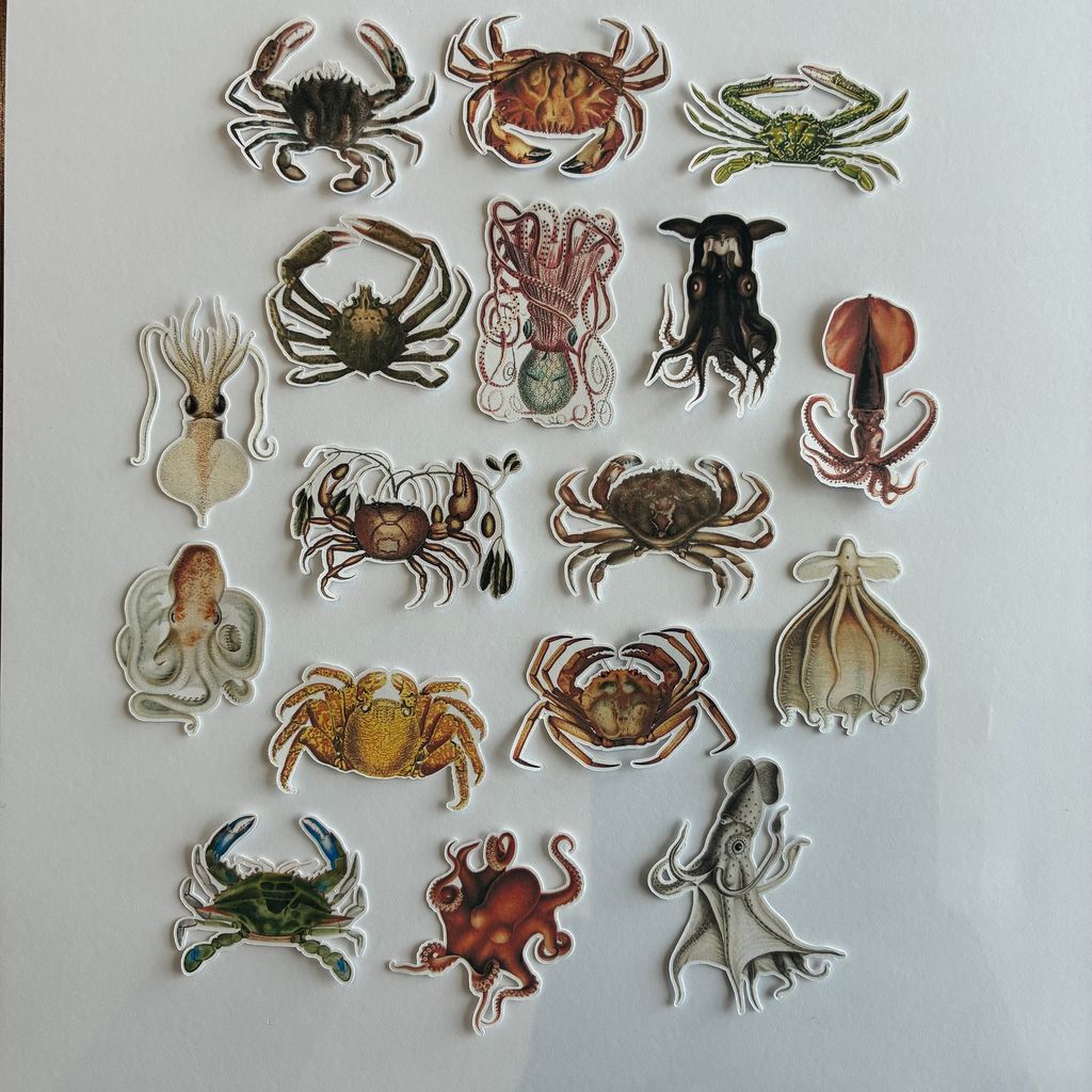 image_62EFFF26-C244-4CA0-923C-DFE9577E791F_1772353534